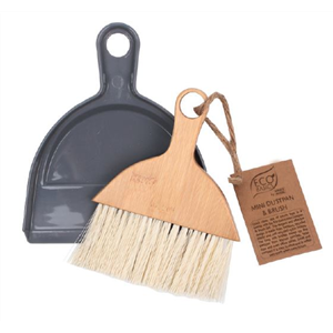 Mini Dust Pan and Brush