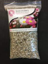 Lucinda's Everlastings - Seeds