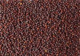 BULK - Herbs and Spices per 20g