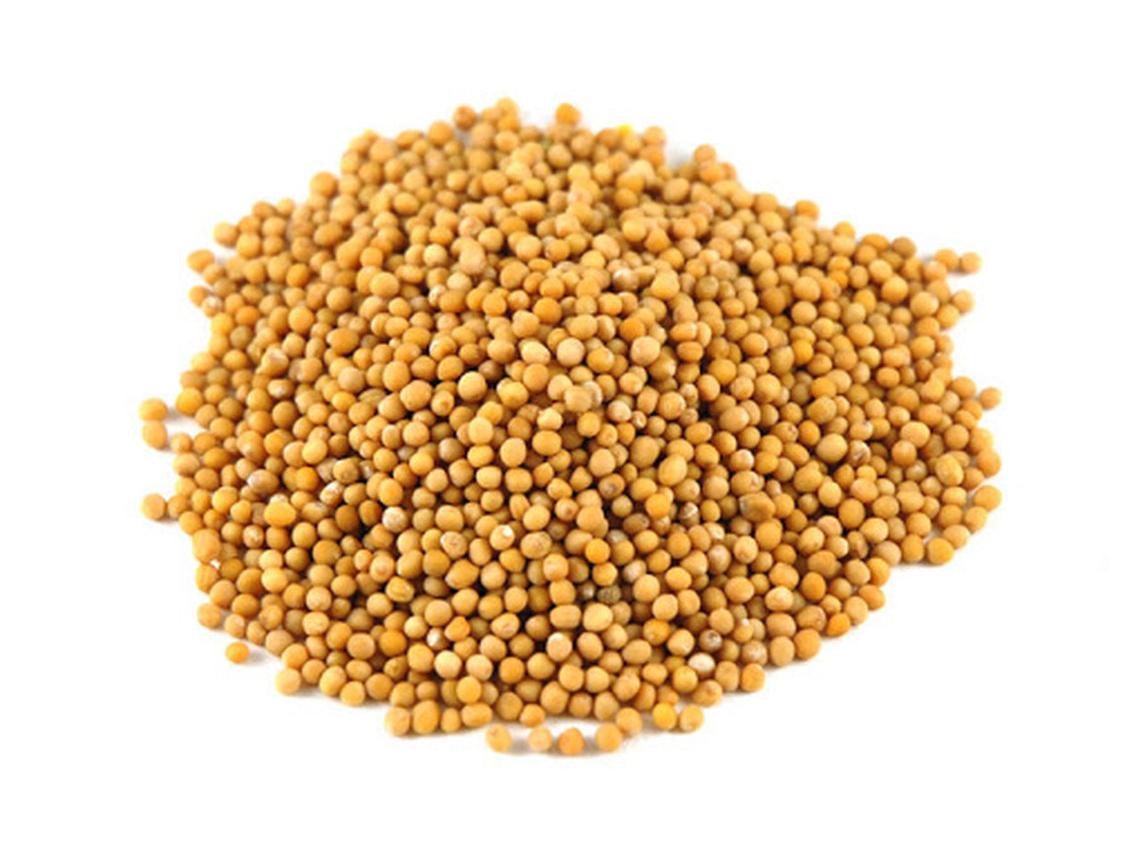BULK - Herbs and Spices per 20g